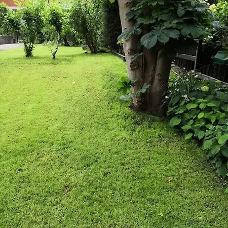Σπίτι διακοπών Nice Little House With Garden Πότσδαμ